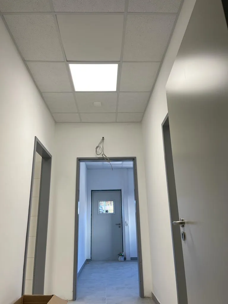 webflow tools refokus autotabs